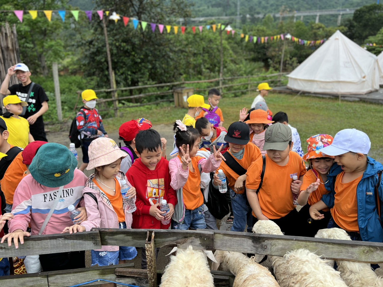 Liên đội Trường TH Nguyễn Tri Phương tổ chức hành trình trải nghiệm học tập cho học sinh khối 1, 2, 3